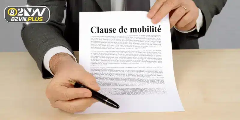 Vai trò quan trọng của điều khoản điều kiện 82vn